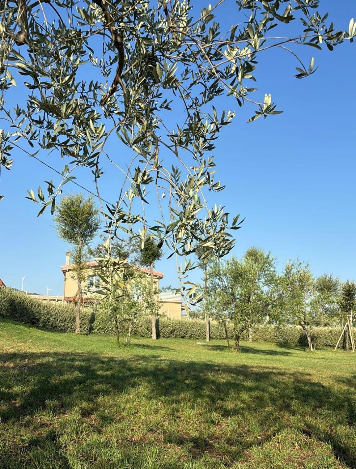 Masseria Spinale Wine Resort Melfi Exteriör bild